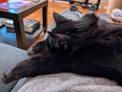 I'm overdue to share my baby, Nessa