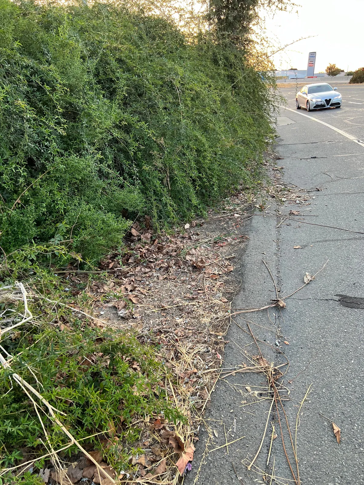 As a sole volunteer, I work in my free time to help remove illegal dumping across the San Francisco Bay Area