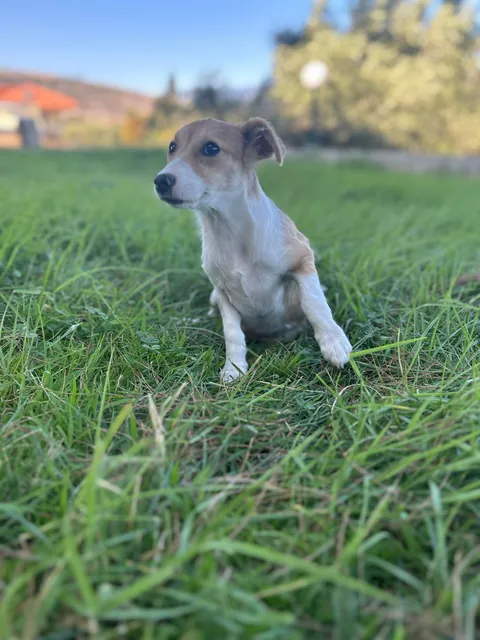 My tiny best friend
