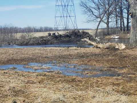 A local farmer destroyed a .5K stretch of river to make a corn field, right before spawning season. He didn't have permits