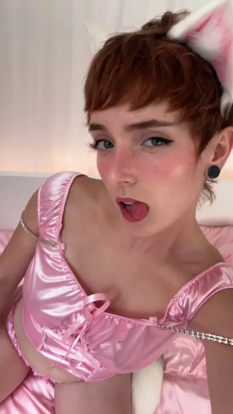 I heard you guys like shorthair breeds, well how about breeding a shorthair