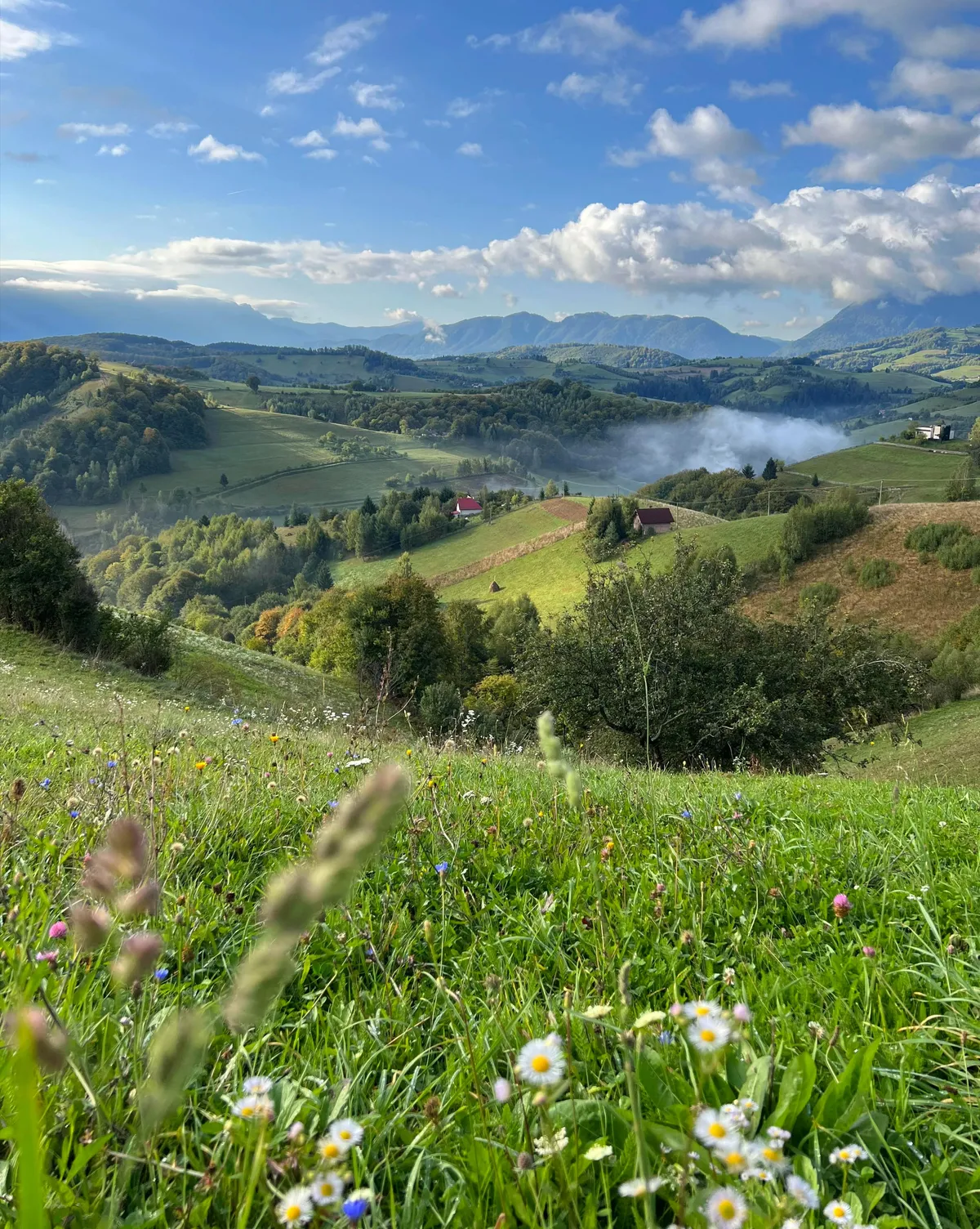 Poiana Mărului, Brașov, România