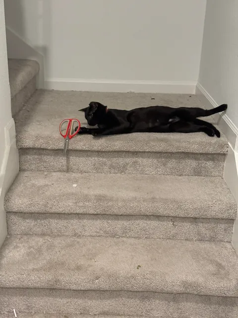 Sauron is now 1 year old!