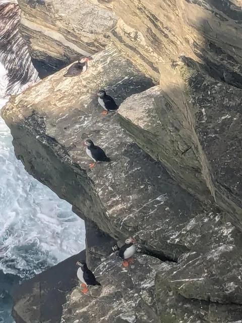 Orkney islands, Scotland