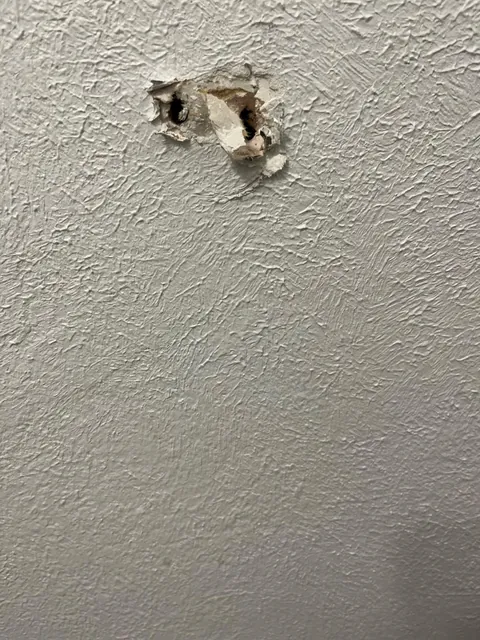 Had a drunk friend rip out our toilet paper holder while vomiting in a house I’m renting. How can I properly fix this?