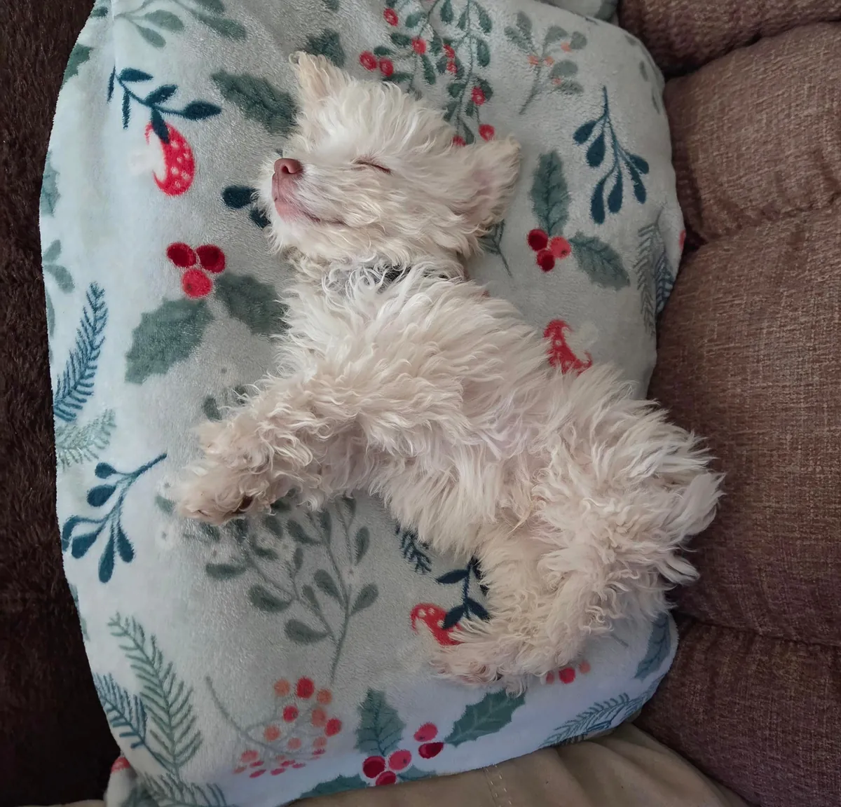 Another order of Waffles