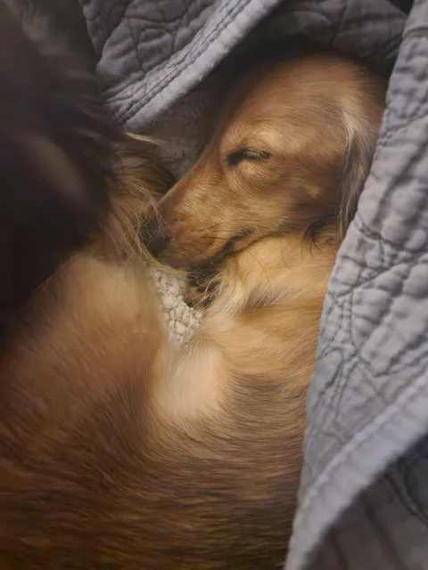 Shhhh......don't wake him