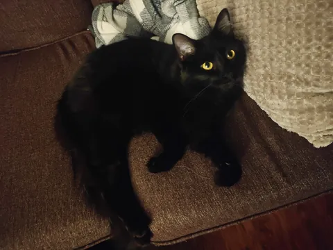 She just entered my life 🖤