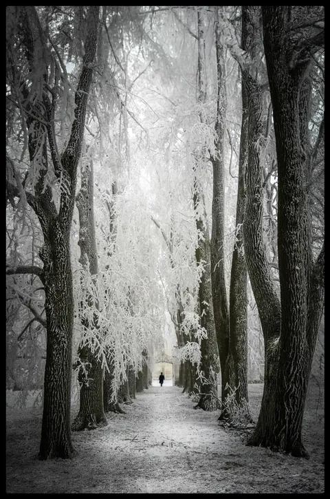 Trek through a frigid winter day