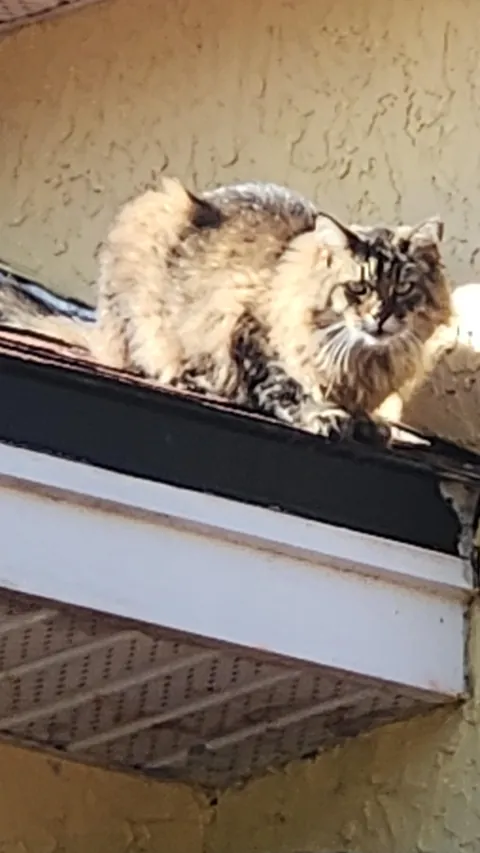 A year and a half, but my little boy is home.