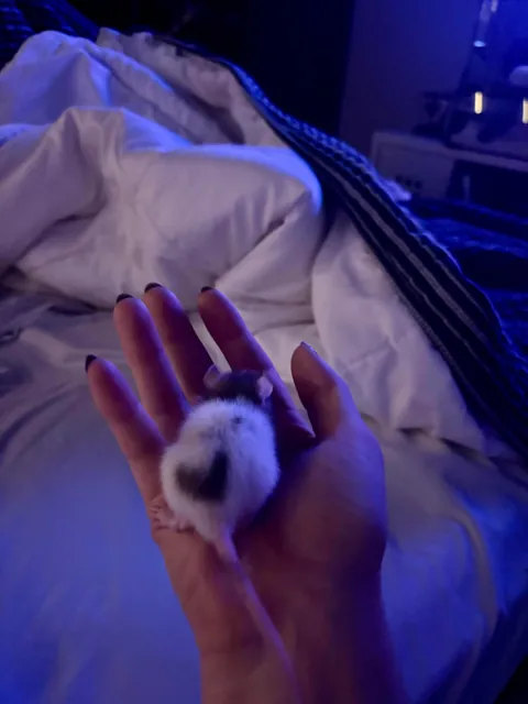 Wouldn’t sit still, but here’s my baby boy! He’s got a heart butt ❤️