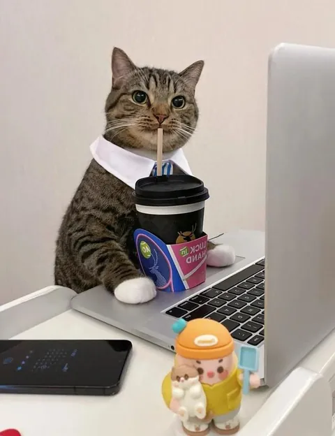 Me in my 9 to 5 pretending to be productive