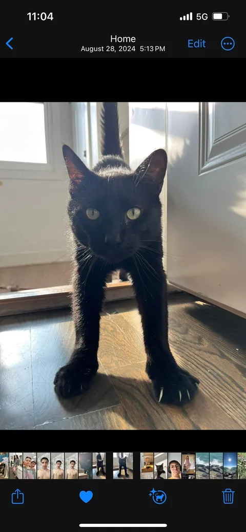 My dad saved him from being a killed