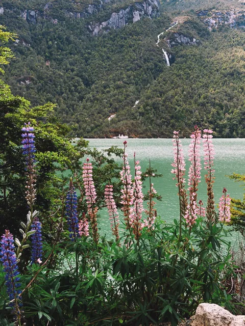 10 days in Carretera Austral, Chile.