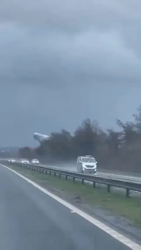 The Kelpies are a pair of 30-meter (100-foot) tall, 300-ton stainless-steel horse-head sculptures located in Falkirk, Scotland