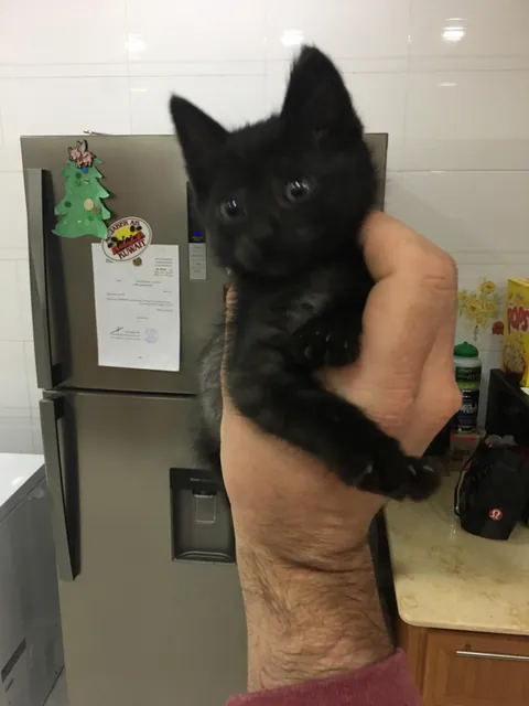 7 years with my Middle Eastern girl