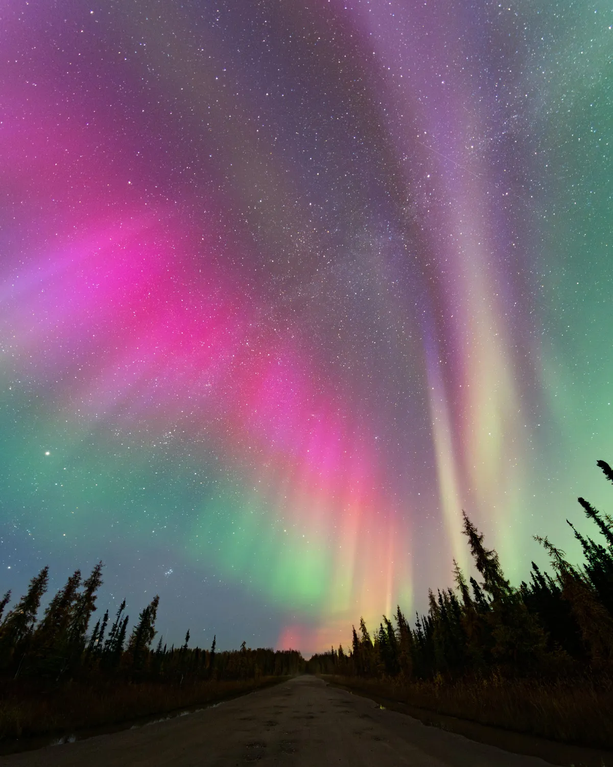 The colors in the aurora last week in Fairbanks, Alaska were incredible!