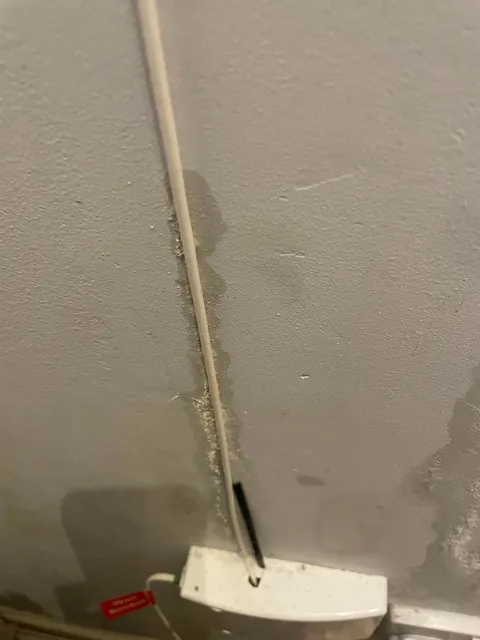 Anyone know what this it?