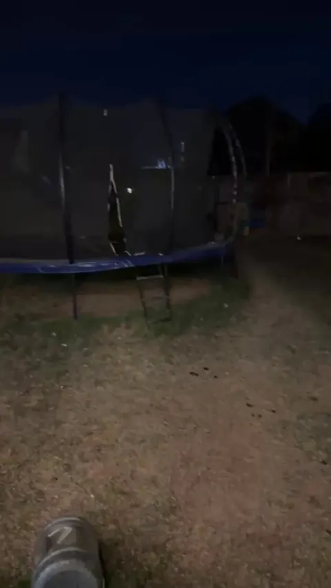 Wife accidentally trained dog to only come inside if you sing to him.