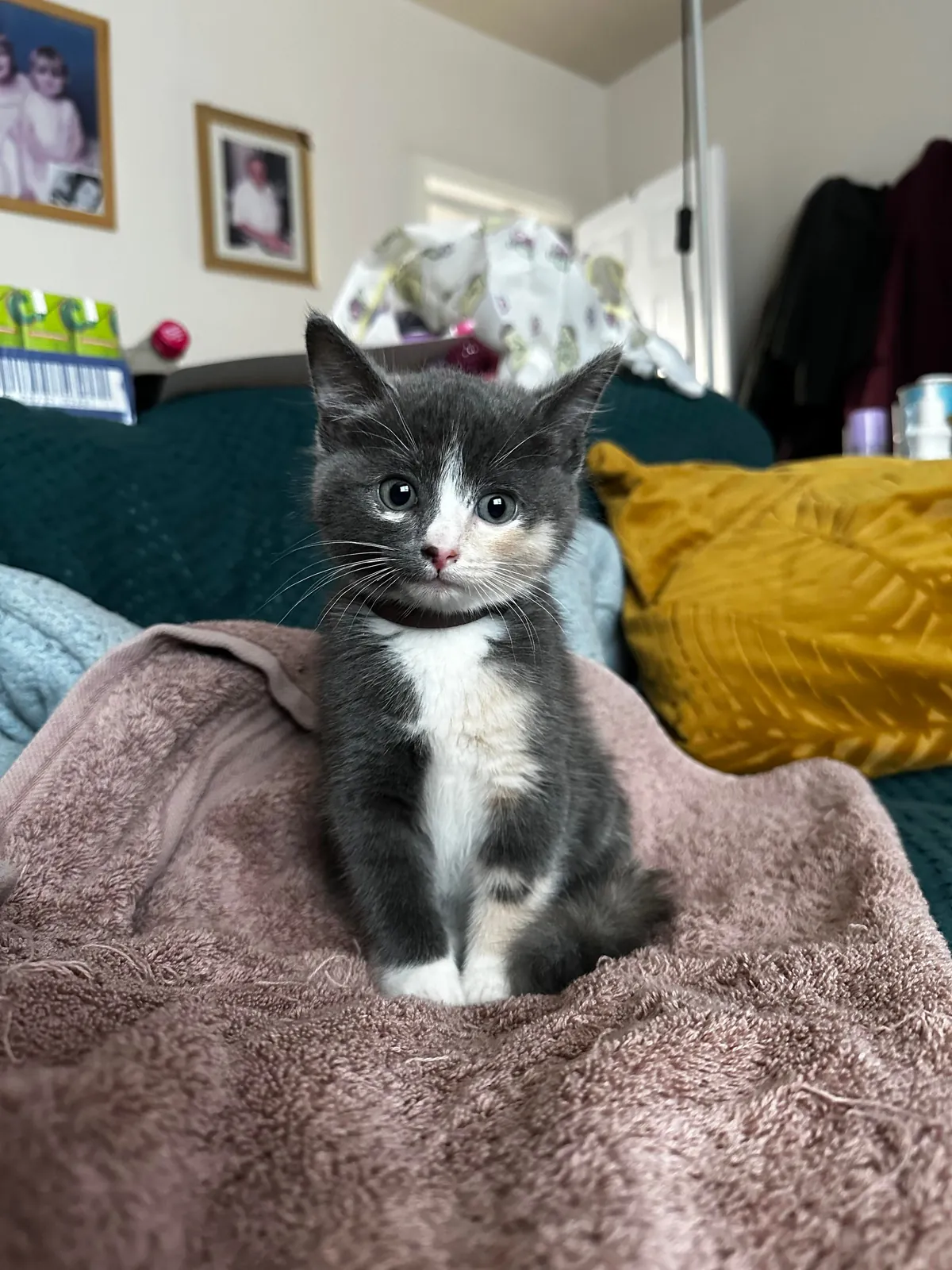 My new daughter❤️