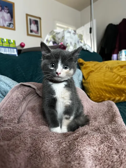 My new daughter❤️