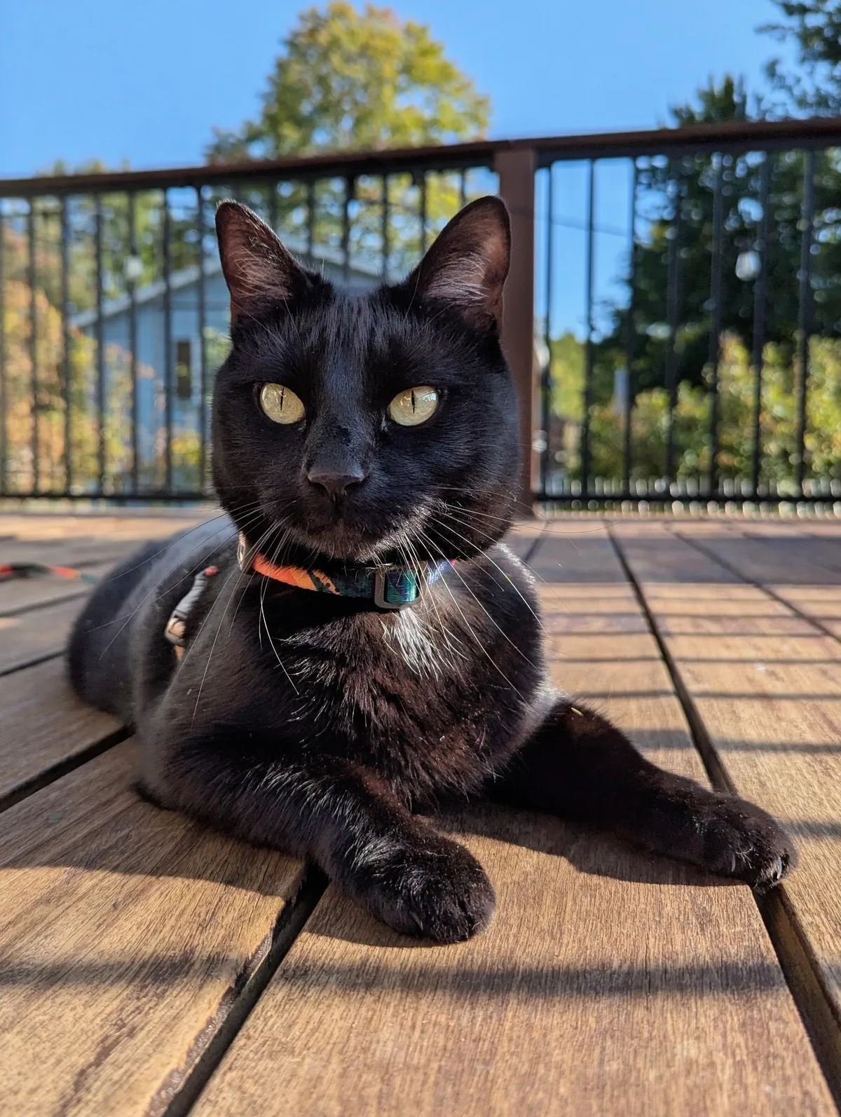 He's the handsomest thing I've ever seen! No offense, Husband 😘