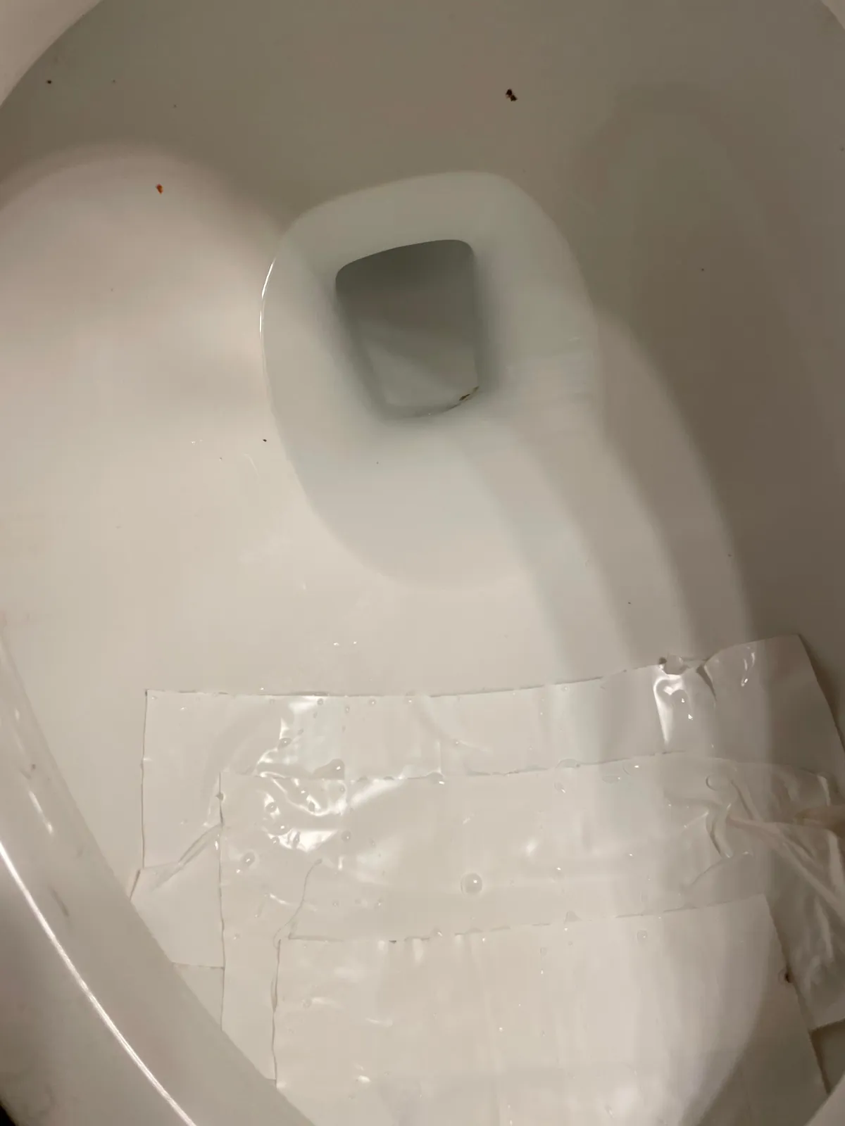 A bottle fell off the shelf and broke straight through our toilet bowl last night