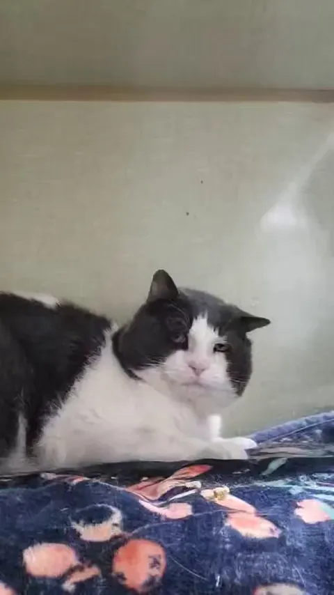 Géode again from our shelter. He’s starting to like us!