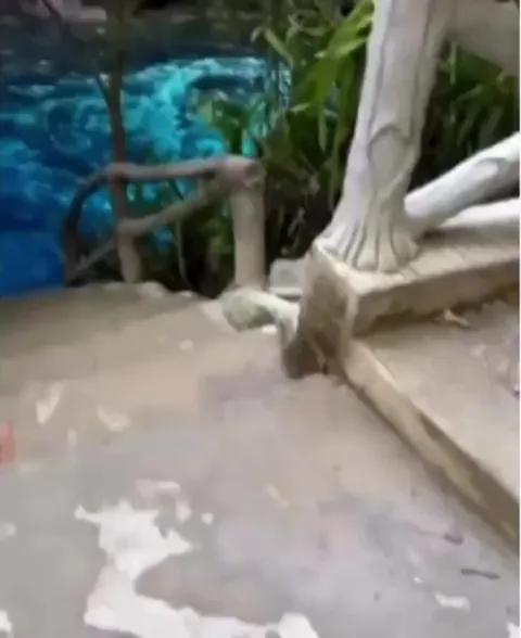 the Hinatuan River, also known as the 'Enchanted River,' in Mindanao, Philippines