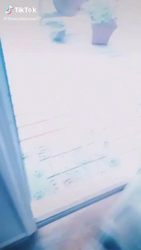 Cat brings baby squirrels to human’s attention