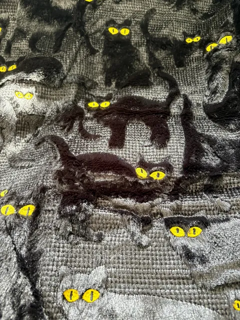 Dad found the blanket