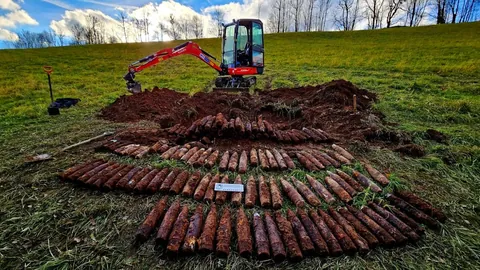 Father and son’s metal detecting trip uncovers historic World War II artillery cache in Czech forest