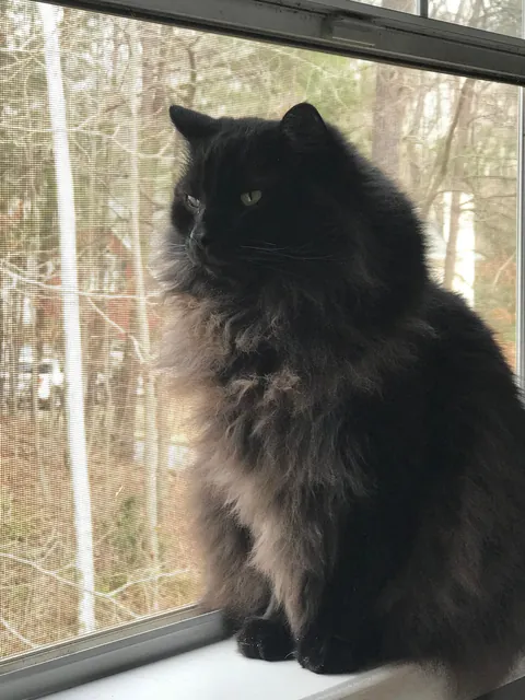 From gotcha to goodbye