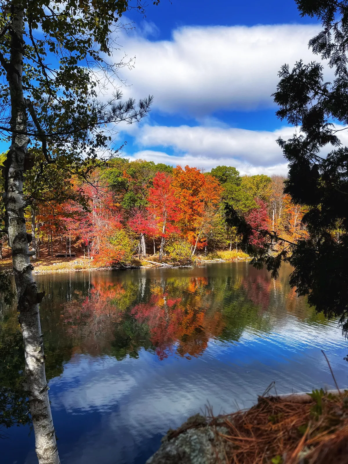 Big Salmon Lake, Ontario Canada [3024x4032] (OC)