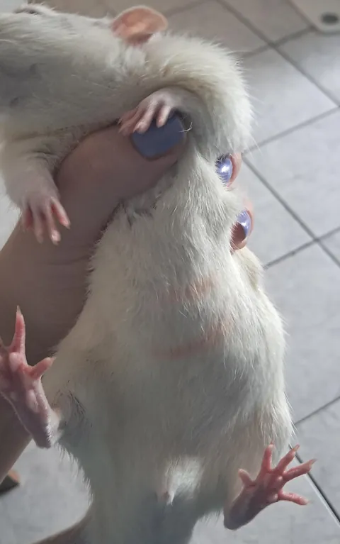 i think i went overboard a tiny bit