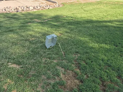 Someone left a "trap" at the park this morning.