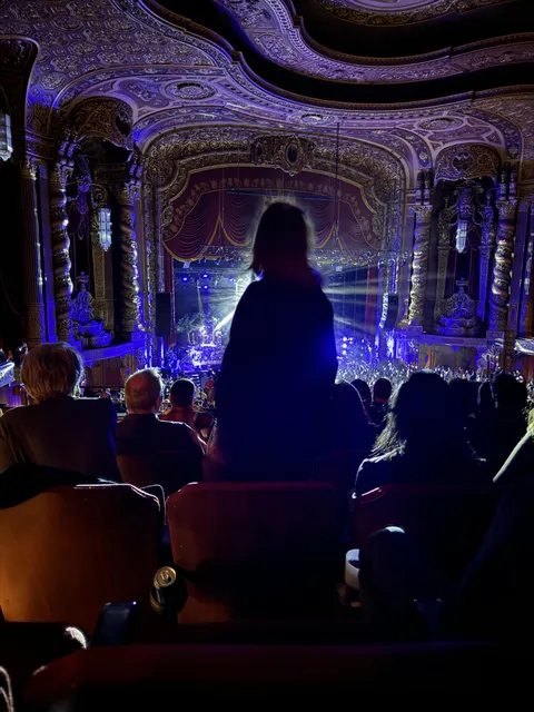 This lady, who insisted on being the only person standing at the concert.