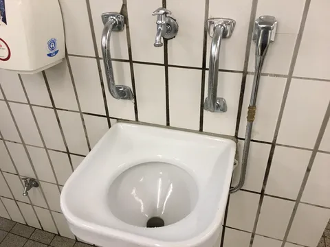 In Germany we have "puke sinks" in some public places that have events like the Oktoberfest.