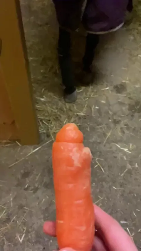 This some good carrot