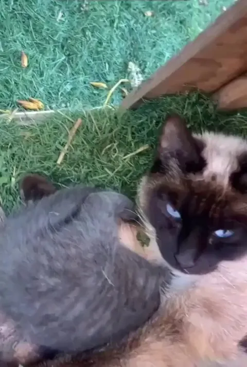 "Don't disturb me, please?"