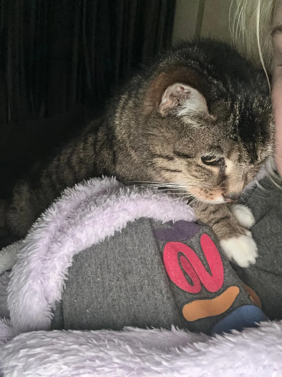 Had to send my 23 year old girl to sleep:(