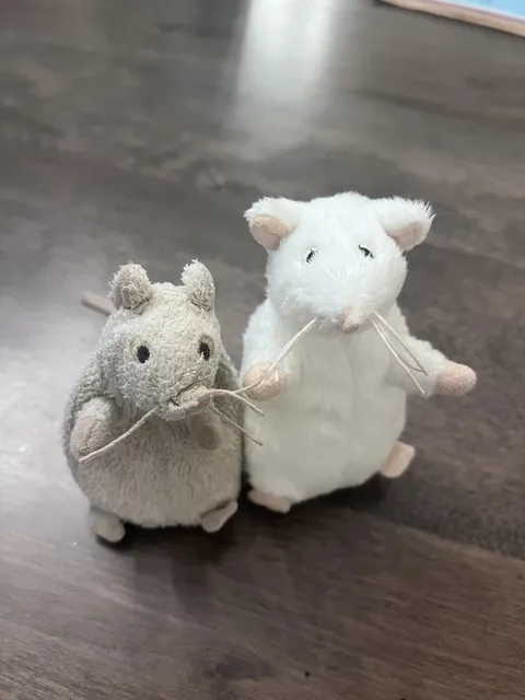 Daughter’s favorite stuffed mouse and identical backup never used.