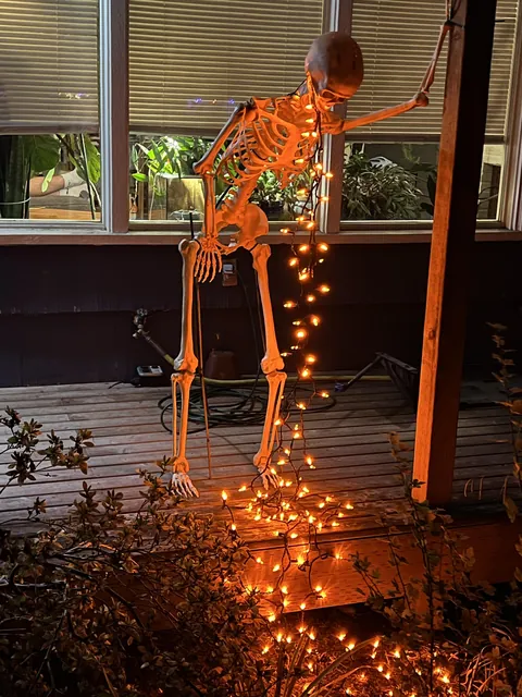 Is it too early to put up Halloween decorations?