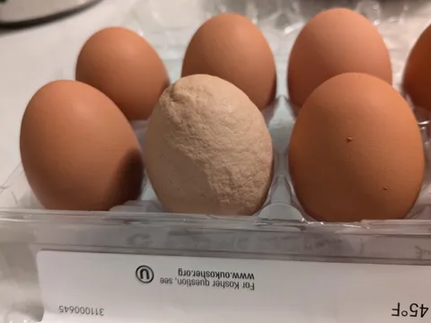 The carton of eggs I bought contains one super wrinkly one