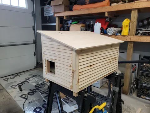 Upgrade for the neighborhood stray