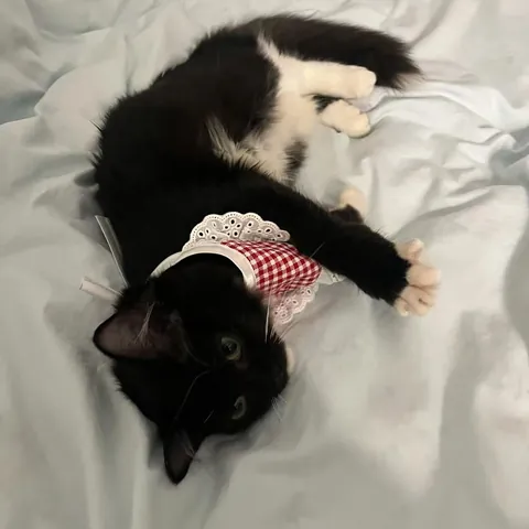 He’s only been in my life for 2 weeks but I already can’t imagine a day without him ❤️