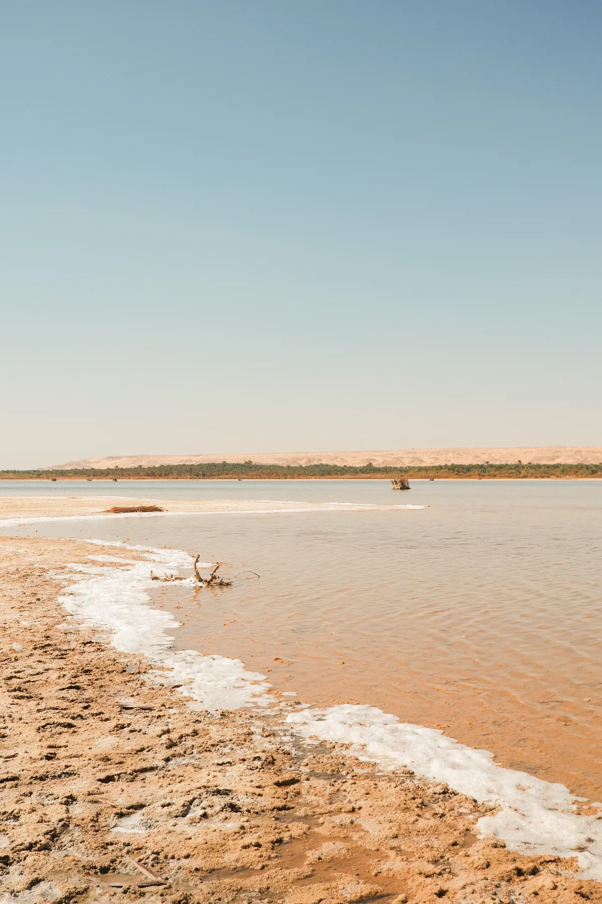 My recent Egypt trip