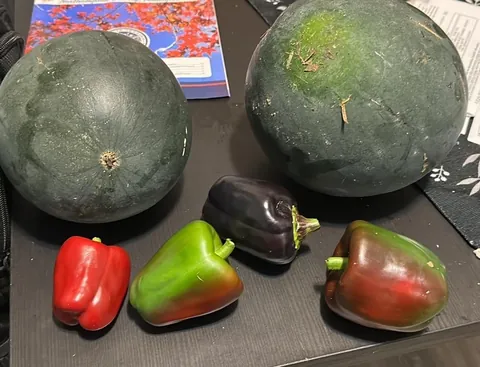 It ain’t much, but this is the first time I grew something from seed, and I’m super proud of it!