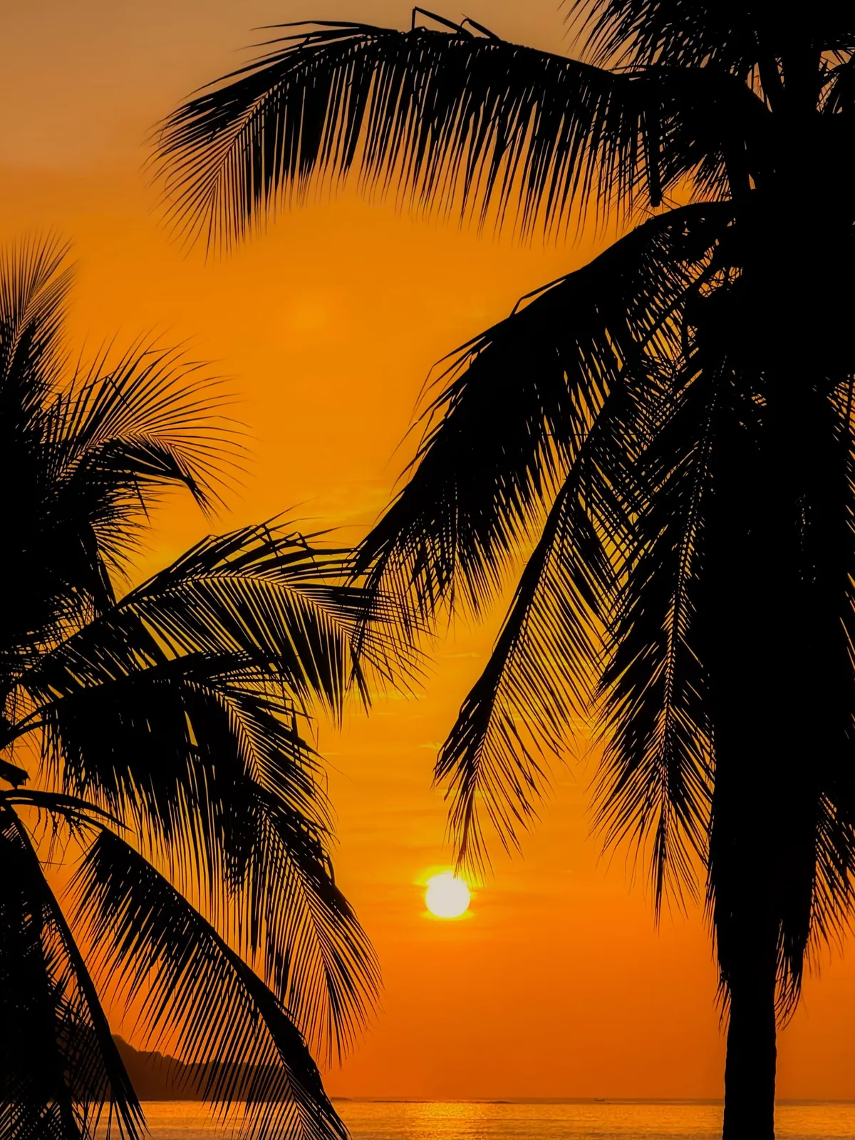 A little slice of pura Vida 📍 Costa Rica