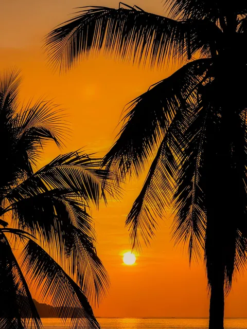 A little slice of pura Vida 📍 Costa Rica